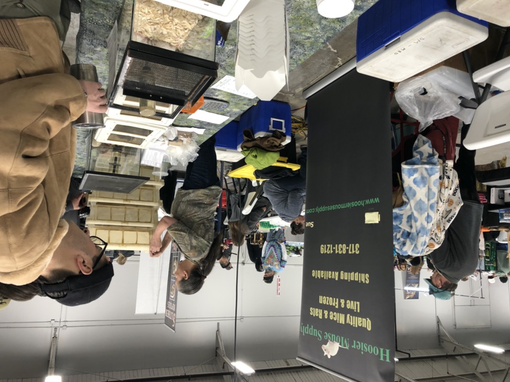 Welcome to the Midwest Reptile Show, Indianapolis, Indiana - Gallery