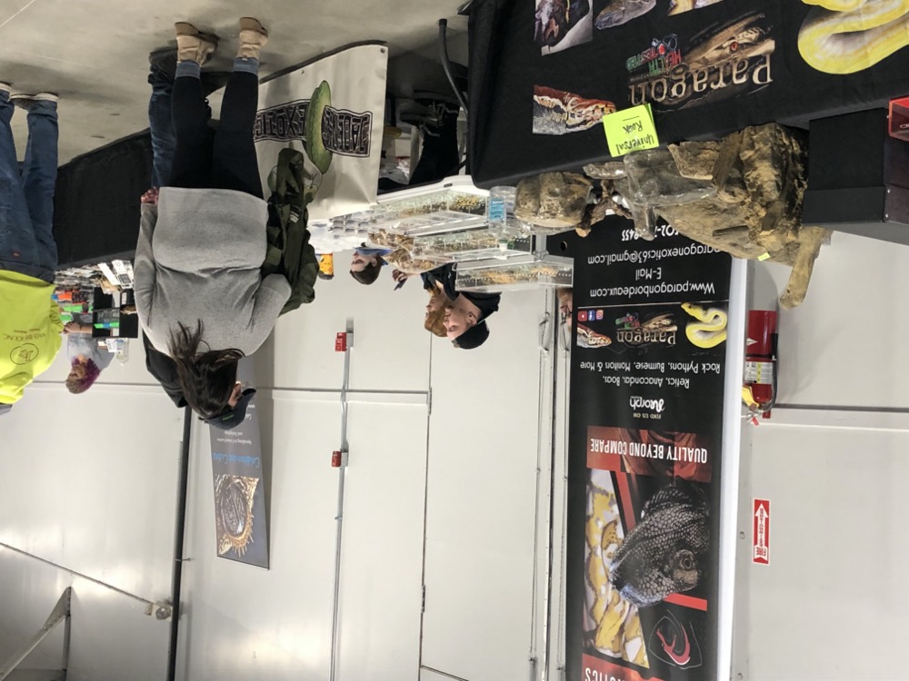 to the Midwest Reptile Show, Indianapolis, Indiana Gallery